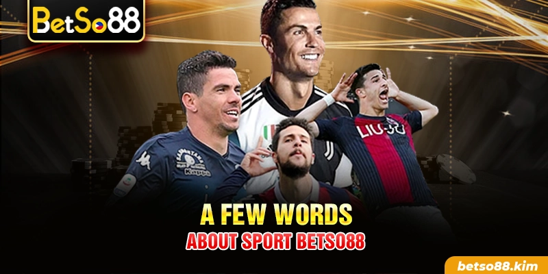 A few words about Sport BetSo88