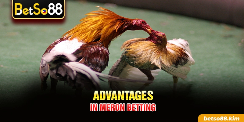 Advantages in Meron betting