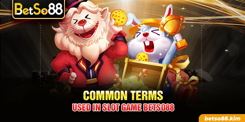 Common terms used in Slot Game BetSo88