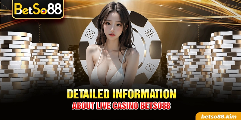 Detailed information about Live Casino BetSo88