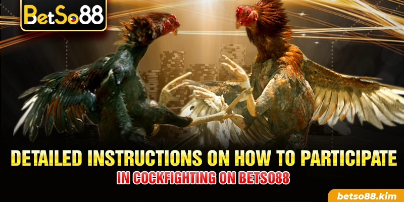 Detailed instructions on how to participate in cockfighting on BetSo88