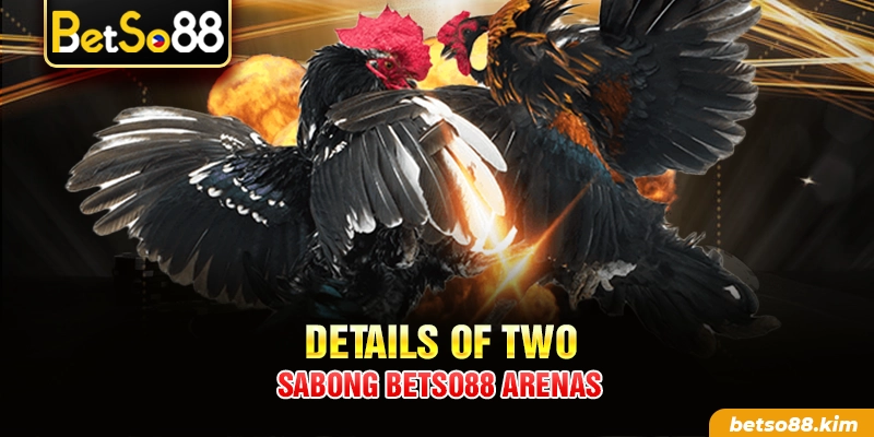 Details of two Sabong BetSo88 arenas