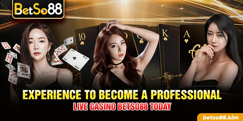 Experience to become a professional Live Casino BetSo88 today