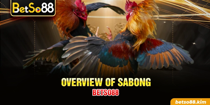 Overview of Sabong BetSo88