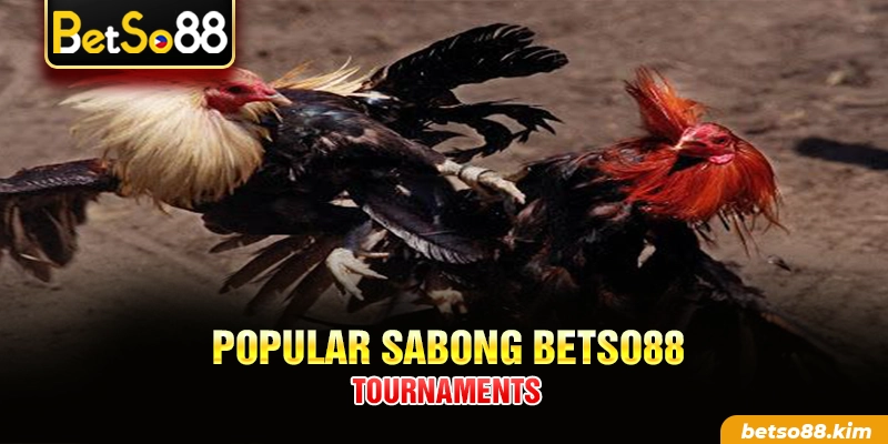 Popular Sabong BetSo88 tournaments