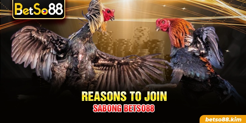 Reasons to join Sabong BetSo88