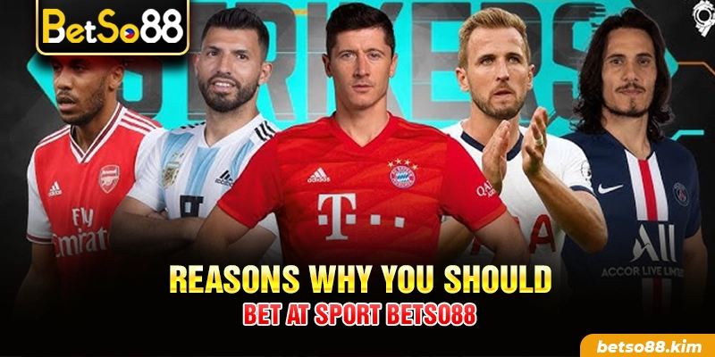 Reasons why you should bet at Sport BetSo88