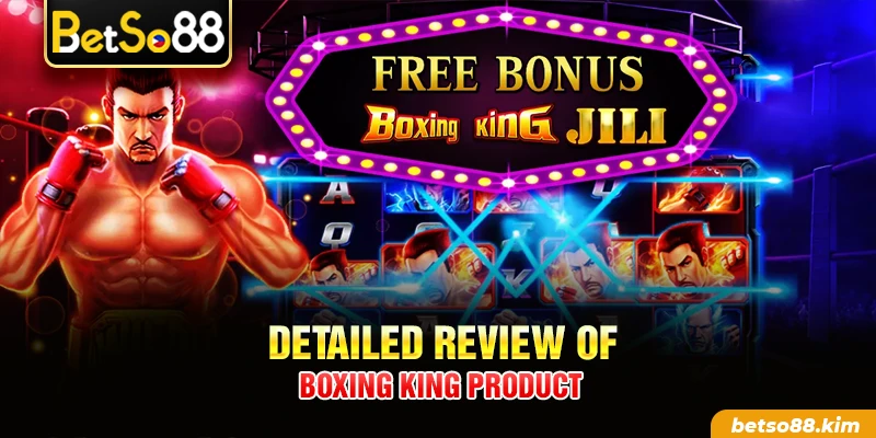 Detailed review of Boxing King product