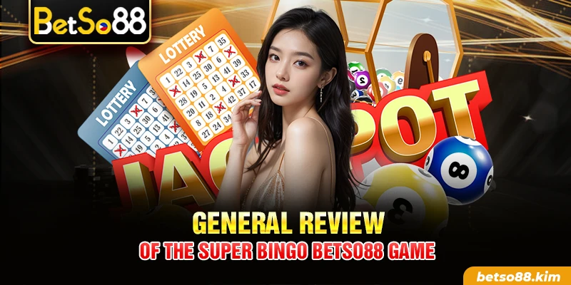 General review of the Super Bingo BetSo88 game