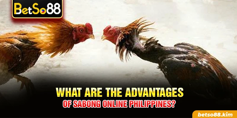 What are the advantages of Sabong Online Philippines?