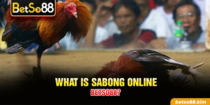 What is Sabong Online BetSo88?