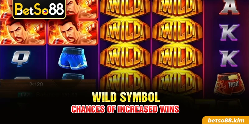 Wild Symbol - Chances of increased wins