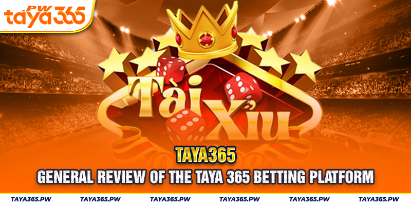 General review of the Taya 365 betting platform