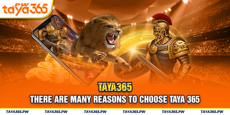 There are many reasons to choose Taya 365